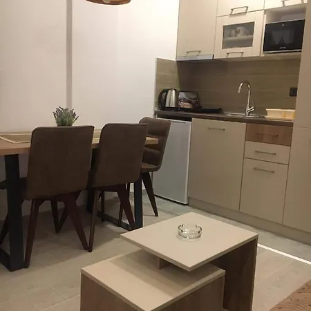 “n 17”milmari-kopaonik Apartament *