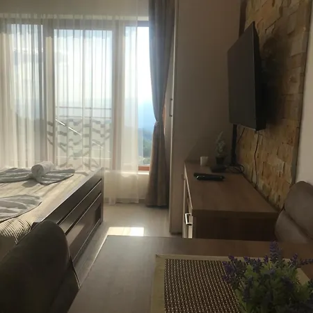 “n 17”milmari-kopaonik Apartament *